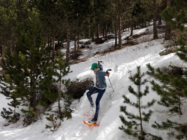 Mit Schneeschuhen den Hang hinuntergehen 
